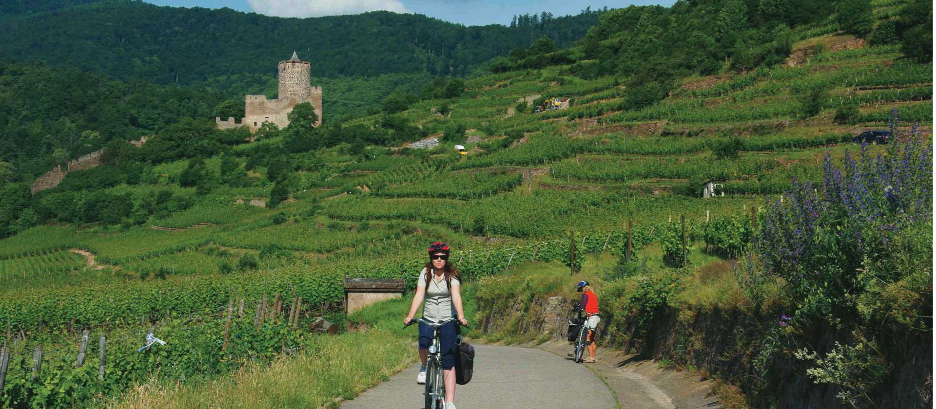 The quiet country roads of Alsace