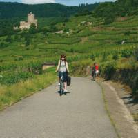 The quiet country roads of Alsace