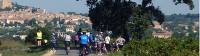 Group of cyclists on the Provence Bike and Barge trip