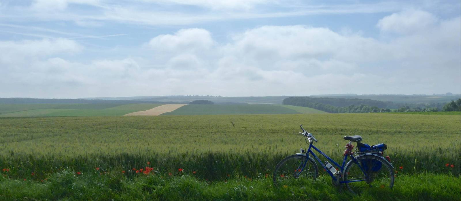 Bike resting in the Flanders Fields | Richard Tulloch