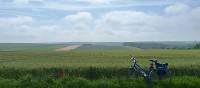 Bike resting in the Flanders Fields | Richard Tulloch