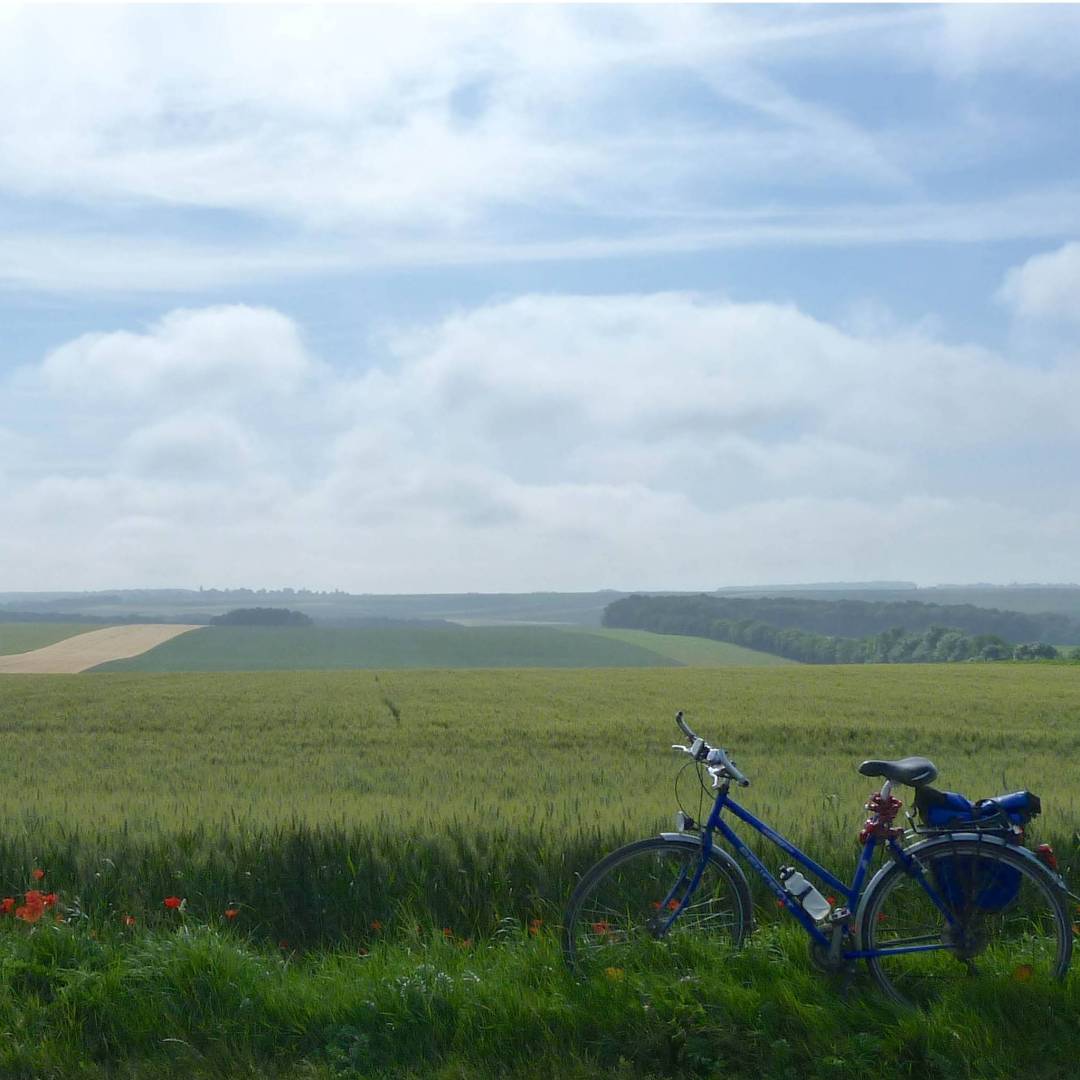 Bike resting in the Flanders Fields | Richard Tulloch