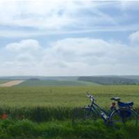 Bike resting in the Flanders Fields | Richard Tulloch