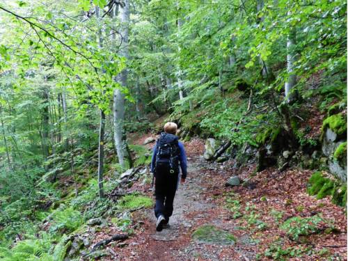 Trekking along the GR20 trail in Corsica |  <i>Gesine Cheung</i>