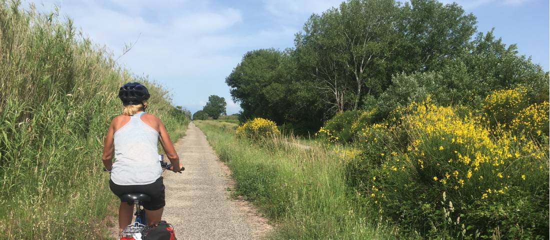 Cycling along unspoilt fields in Provence |  <i>Kylie Martin</i>