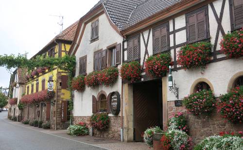 Alsace is famous for it's half timbered houses&#160;-&#160;<i>Photo:&#160;Katie Roberts</i>