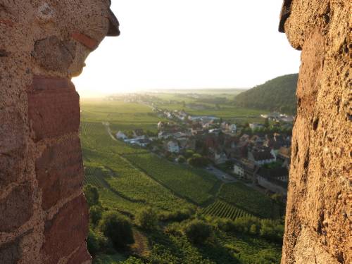 Stunning landscapes of the Alsace&#160;-&#160;<i>Photo:&#160;Katie Roberts</i>