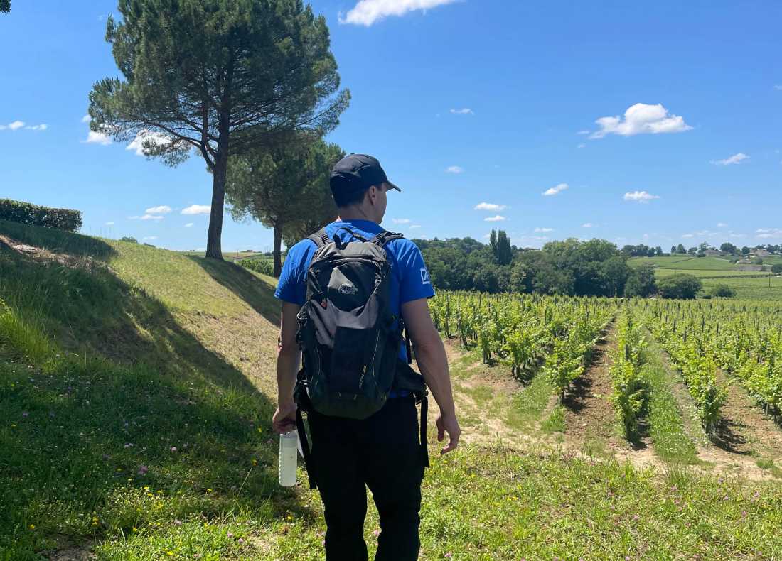 Exploring the vineyards of Bordeaux |  Tali Emdin