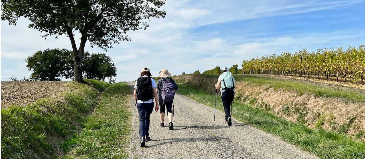 Perfect weather for walking in France. | Ian McNicol