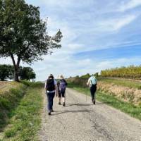 Perfect weather for walking in France. | Ian McNicol