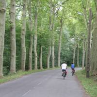 Cycling in Burgundy | Jaclyn Lofts