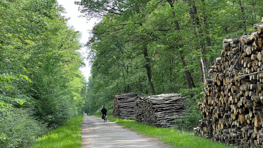 Cycling in the Loire Valley |  <i>Merilyn O'Kane</i>