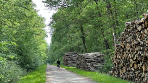Cycling in the Loire Valley | <i>Merilyn O'Kane</i>