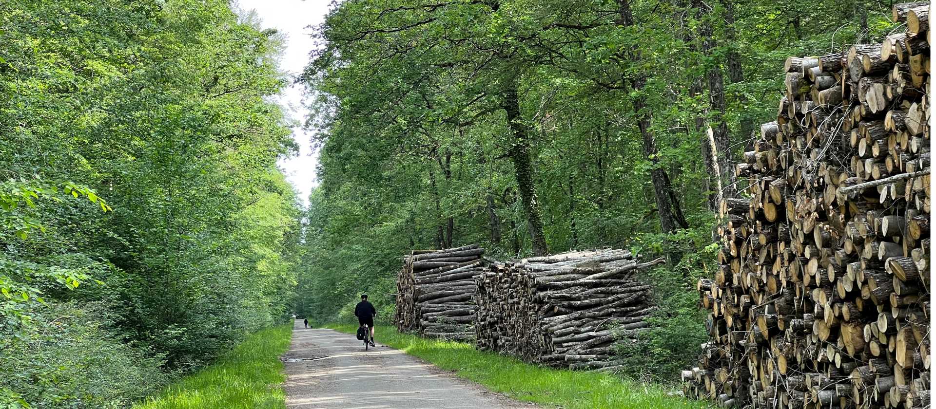 Cycling in the Loire Valley | Merilyn O'Kane