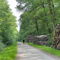 Cycling in the Loire Valley | Merilyn O'Kane