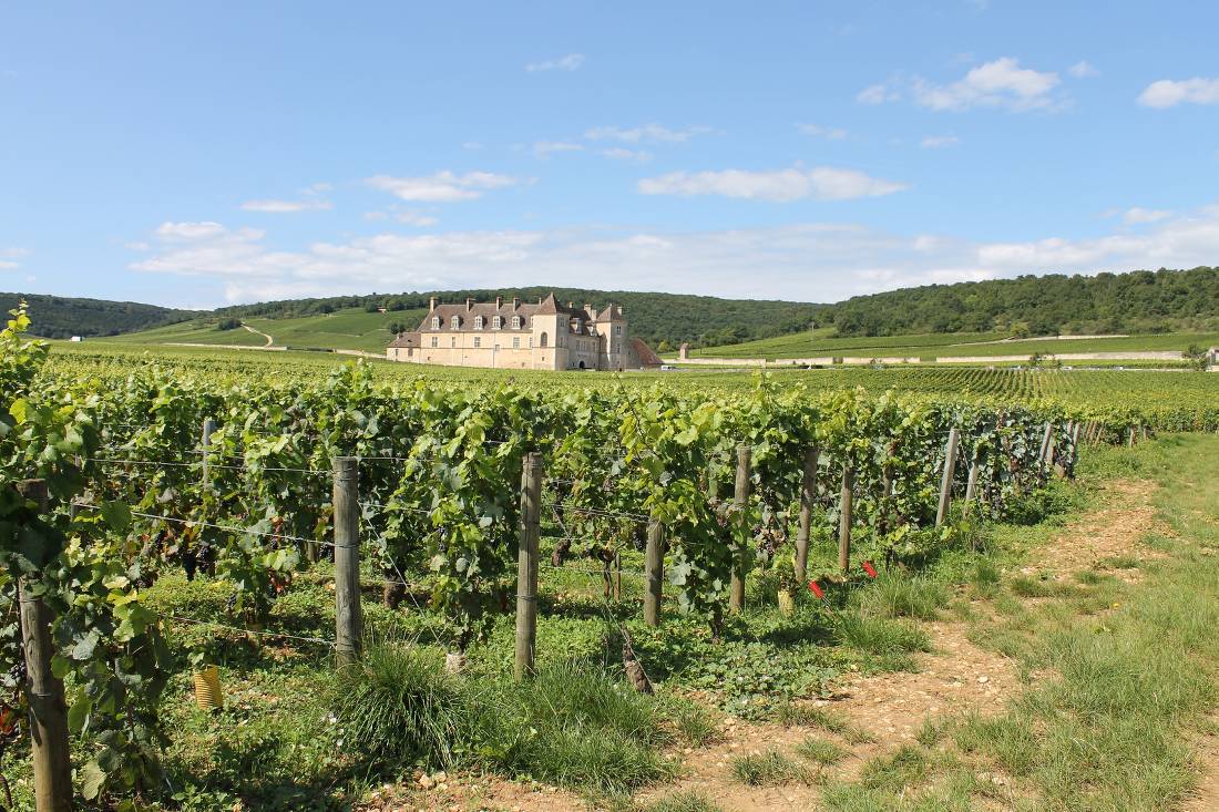 Chateau du clos de Vougeot |  <i>Jaclyn Lofts</i>