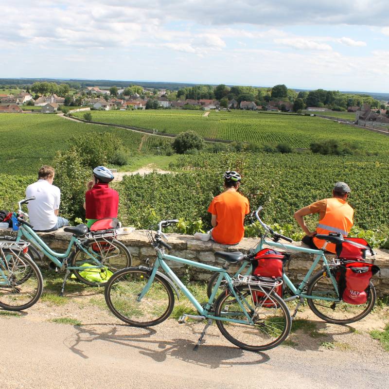 Hero image