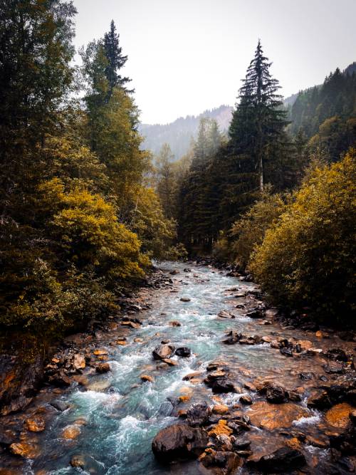 An alpine stream on the Tour du Mont Blanc |  <i>Taskin Bora Koç</i>