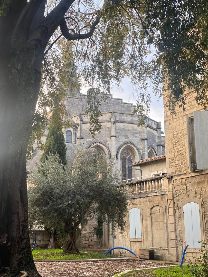 Scenes of Provence |  Deborah Brinkhoff & Lara Hilton