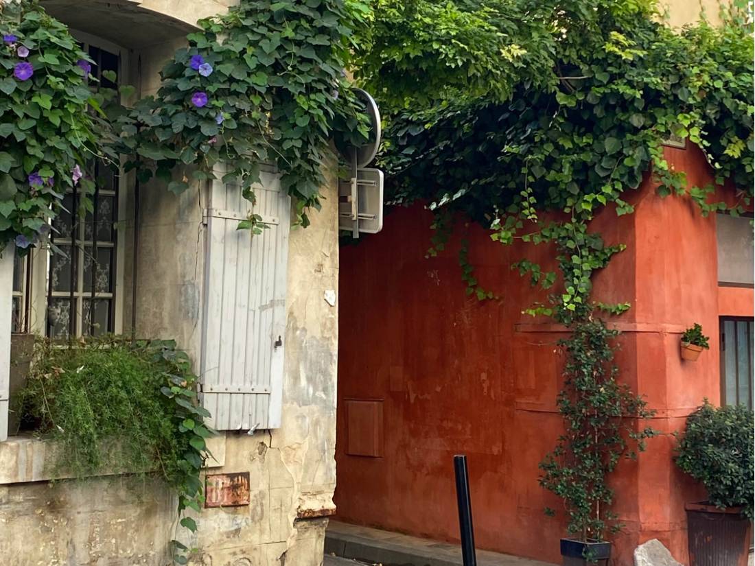 Colours of Provence |  Deborah Brinkhoff & Lara Hilton