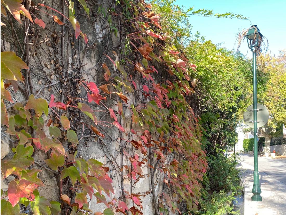 Autumn colours of Provence |  Deborah Brinkhoff & Lara Hilton