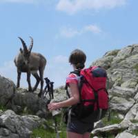 Lac Blanc, Tour Du Mont Blanc | Ray Wilkinson