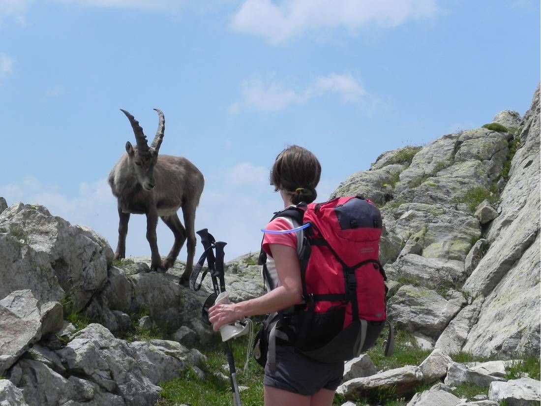 Lac Blanc, Tour Du Mont Blanc |  <i>Ray Wilkinson</i>