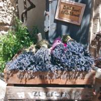 Lavender box, Les Baux, Provence | Rachel Imber