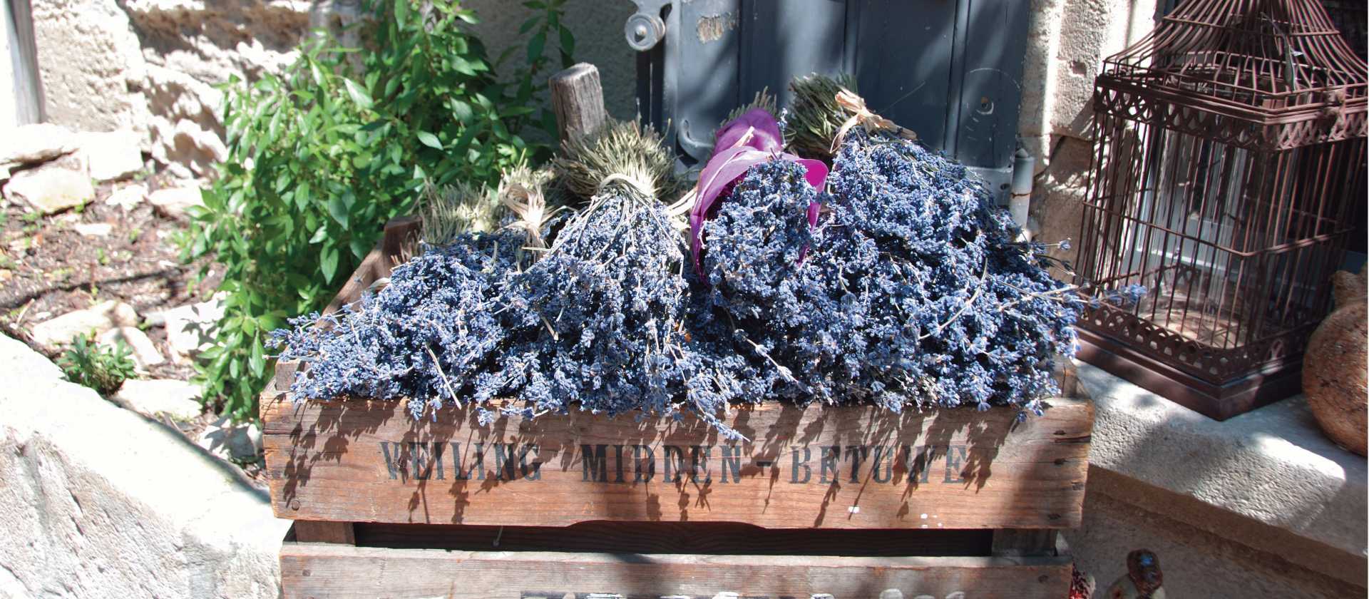 Lavender box, Les Baux, Provence | Rachel Imber