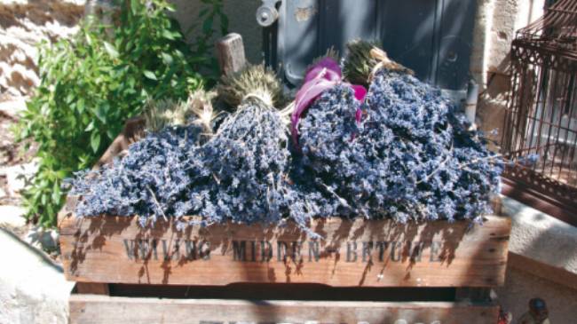 Lavender box, Les Baux, Provence | Rachel Imber