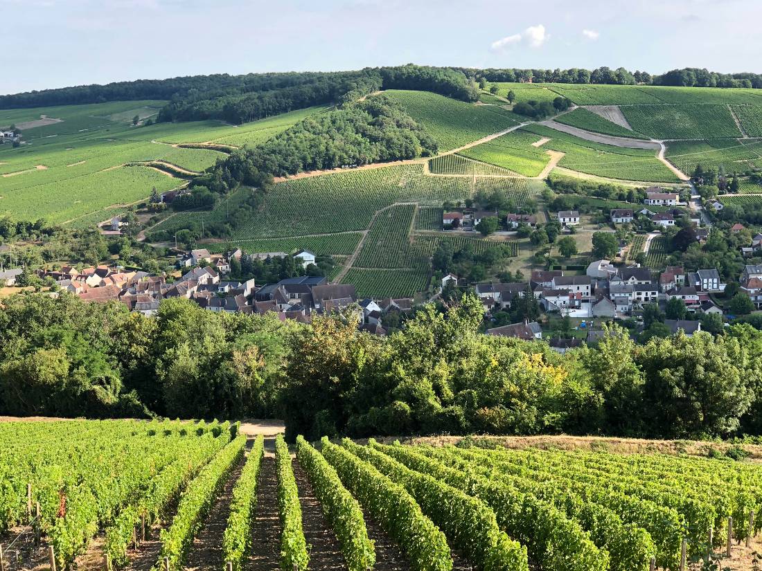 Sancerre is the oldest wine area in the Loire Valley, with origins dating back to the 12th century |  <i>Joycee Smith</i>