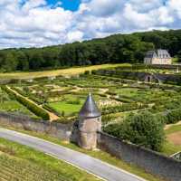 Chateau Valmer's vegetable gardens