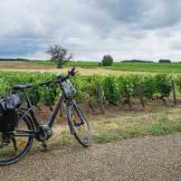 Vineyards on the Loire Valley cycle | Sylvain Brajeul