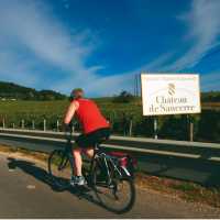 Cycling through the world renowned vineyards of the Loire Valley | Michael Gebicki