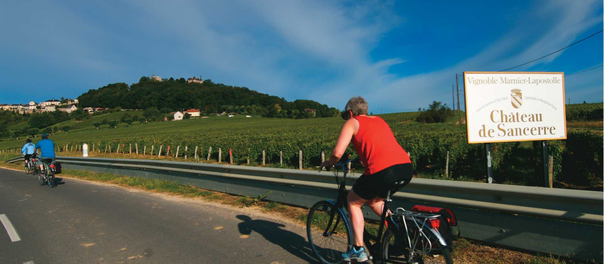 Cycling through the world renowned vineyards of the Loire Valley | Michael Gebicki