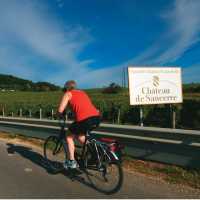 Cycling through the world renowned vineyards of the Loire Valley | Michael Gebicki