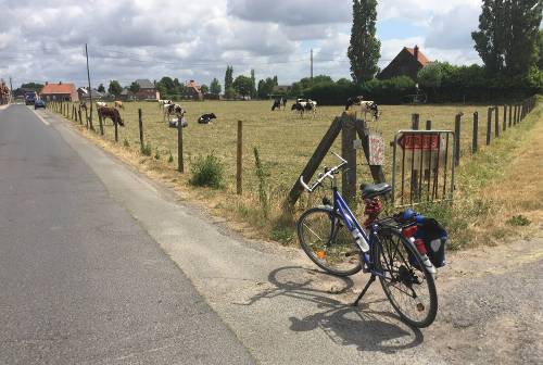 Near the village of Molenaarelst near the Flanders Fields&#160;-&#160;<i>Photo:&#160;Richard Tulloch</i>