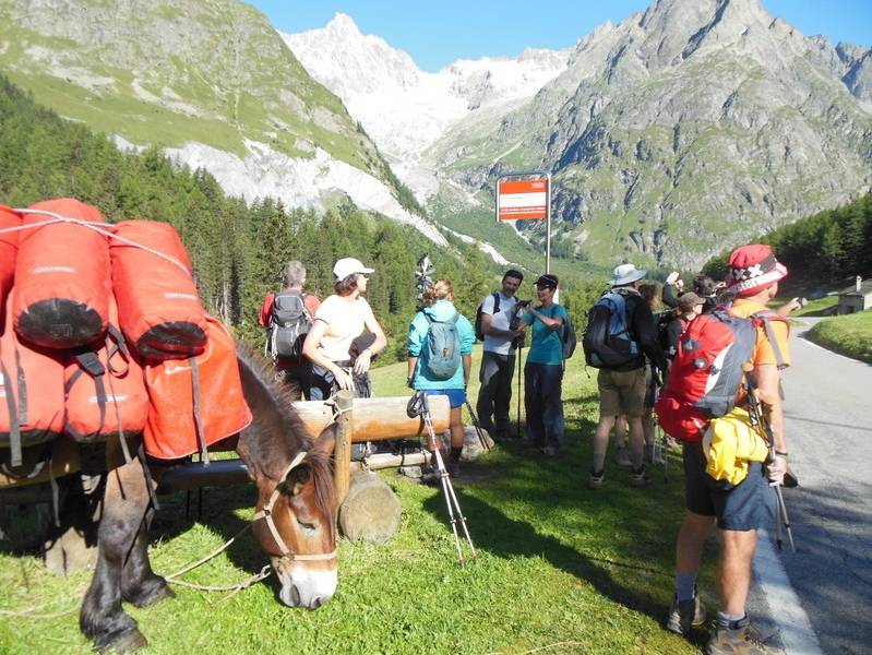 Mont Blanc 7 day Walk, France |  <i>Jennifer Shewan</i>