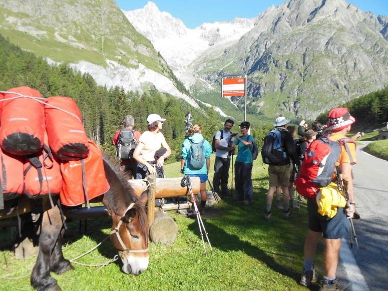 Mont Blanc 7 day Walk, France |  <i>Jennifer Shewan</i>