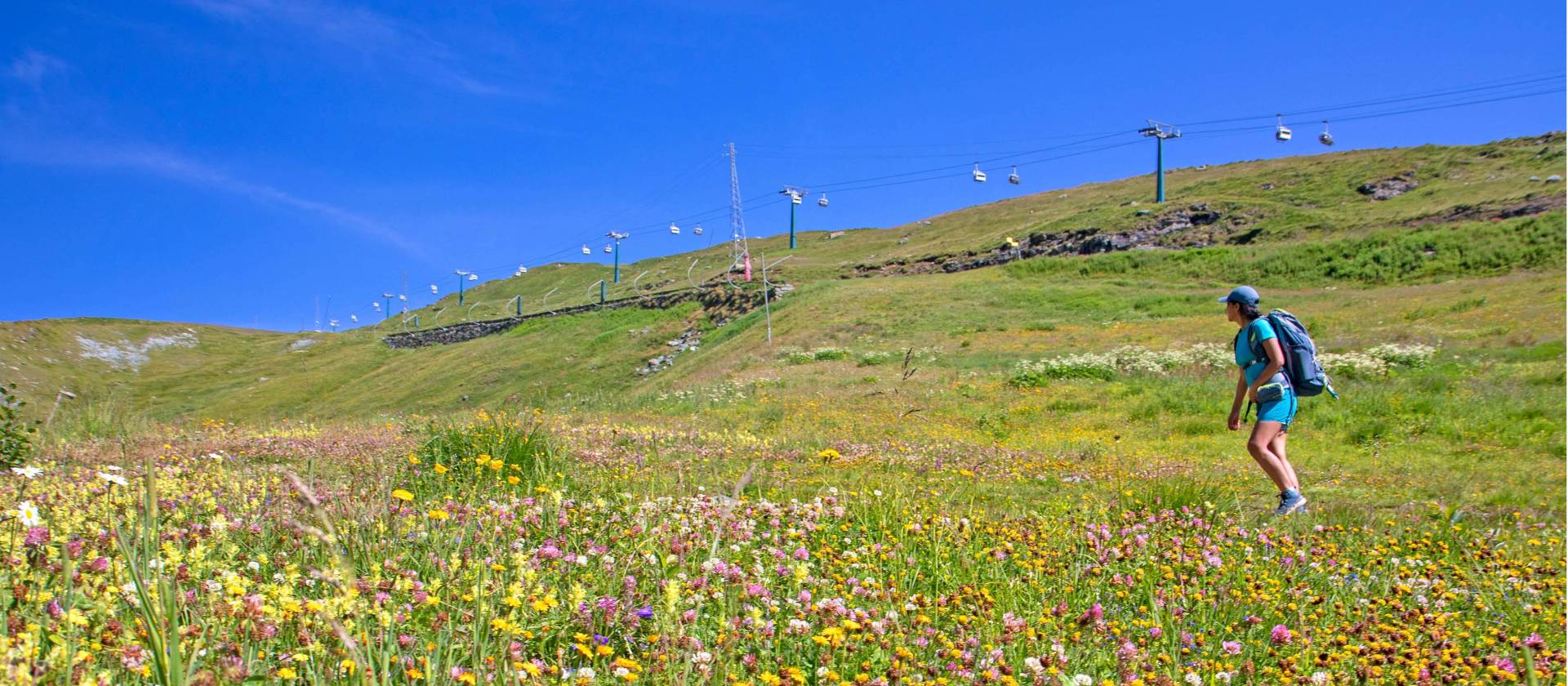 Hiker surrounded by beautiful alpine flowers on the Tour de Monte Rosa Walk | Andrew Bain