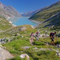 Group ascending a mountain on the Tour de Monte Rosa Walk above a stunning alpine lake | Andrew Bain