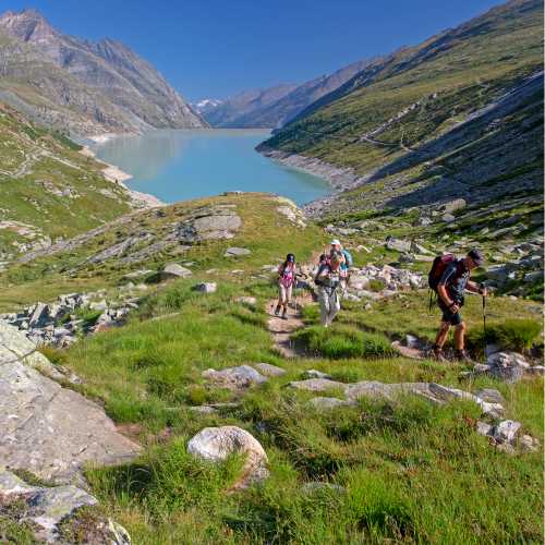 Group ascending a mountain on the Tour de Monte Rosa Walk above a stunning alpine lake