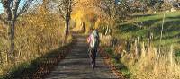 On the Way of St James in the Haute Provence near St Privat | Kate Baker