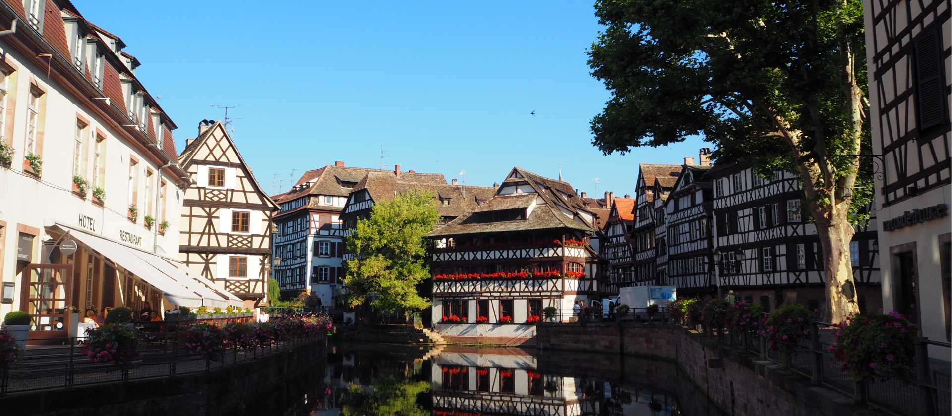 Strasbourg | Sue Finn