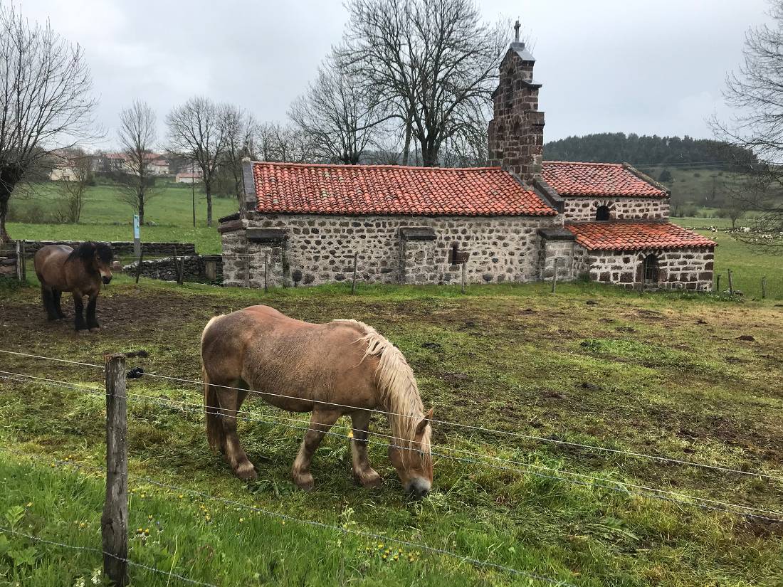 Country lifestyle spotted along the Way of St James | <i>Allie Peden</i>