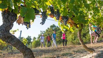 bike tours in loire