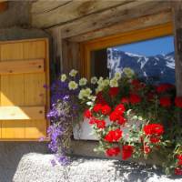 Room With a View, Tour du Mont Blanc | Linda Munns