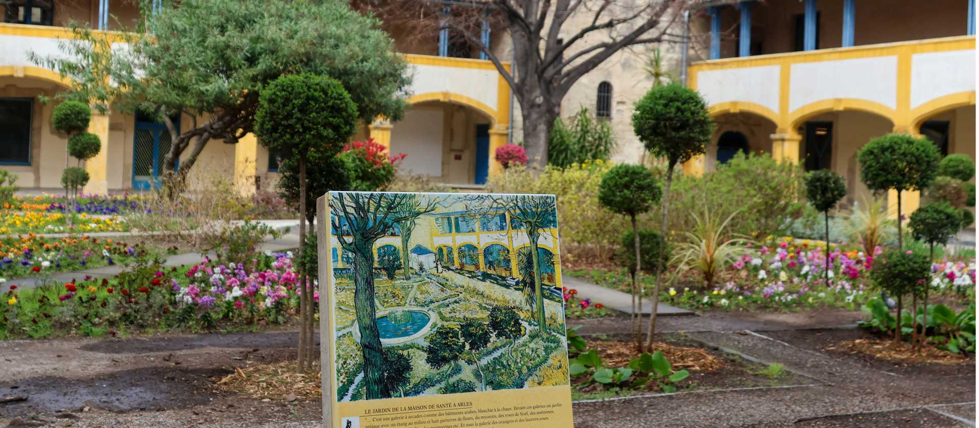 Retracing the life of Van Gogh in Arles, France | Meg von Haartman