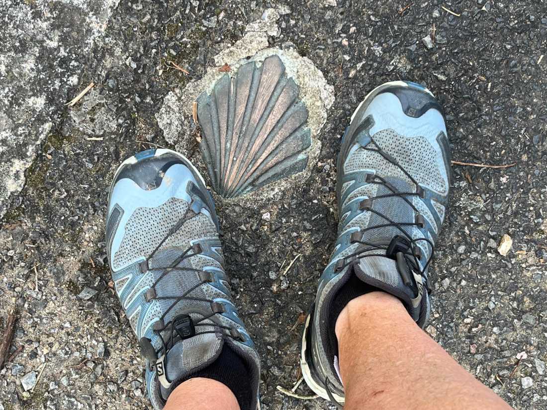 Bronze Camino shells set into the footpath mark the route through towns and cities. |  Jennifer Andrewes