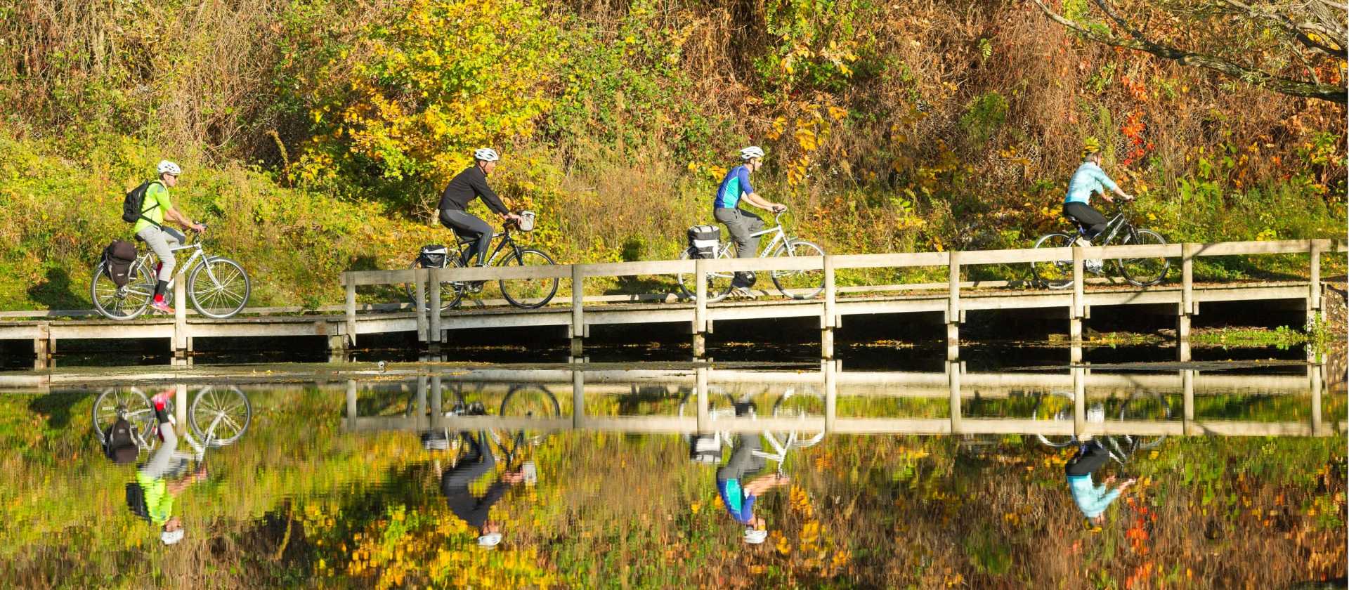 A quiet section of the Rhone Cycle way in France